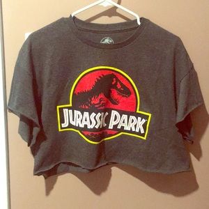 Jurassic Park crop top